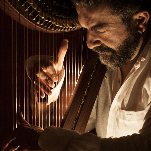 Andrea Pozzoli - arpista - matrimonio