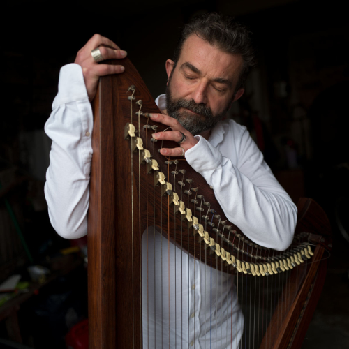 Andrea Pozzoli - arpa celtica elettrica - matrimonio